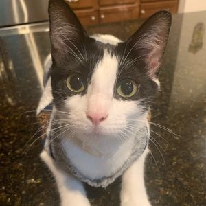 Meet your Posher, Shona